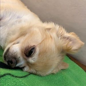 Meet your Posher, Cathy